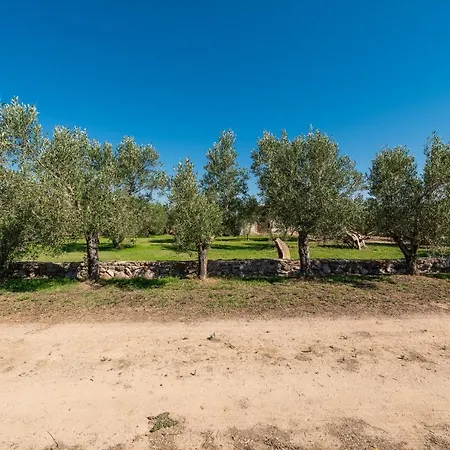 Villetta Immersa Nella Natura *
